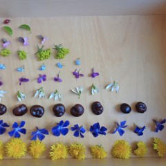 Spaziergang Perlentreppe - Familie W. aus Berlin